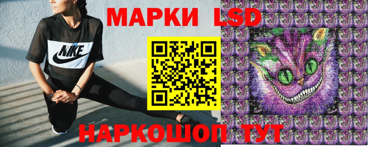 Наркотические марки 1,8мг  Вход с VPN  Ковров 