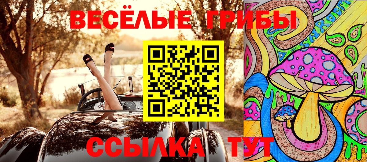 Галлюциногенные грибы прущие грибы  Вход с VPN  где купить наркоту  Псилоцибиновые грибы MAGIC MUSHROOMS  Ковров 